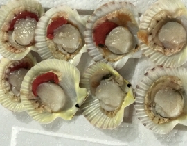 SÒ ĐIỆP NŨA MẢNH - BAO TRẮNG